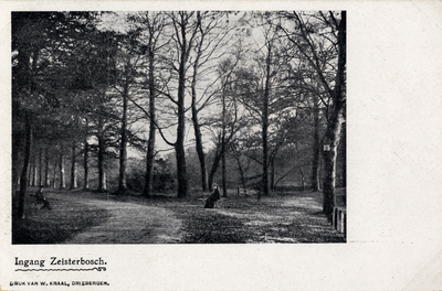 16273 Gezicht in een laan met loofbomen en de ingang van het Zeister Bosch te Zeist.